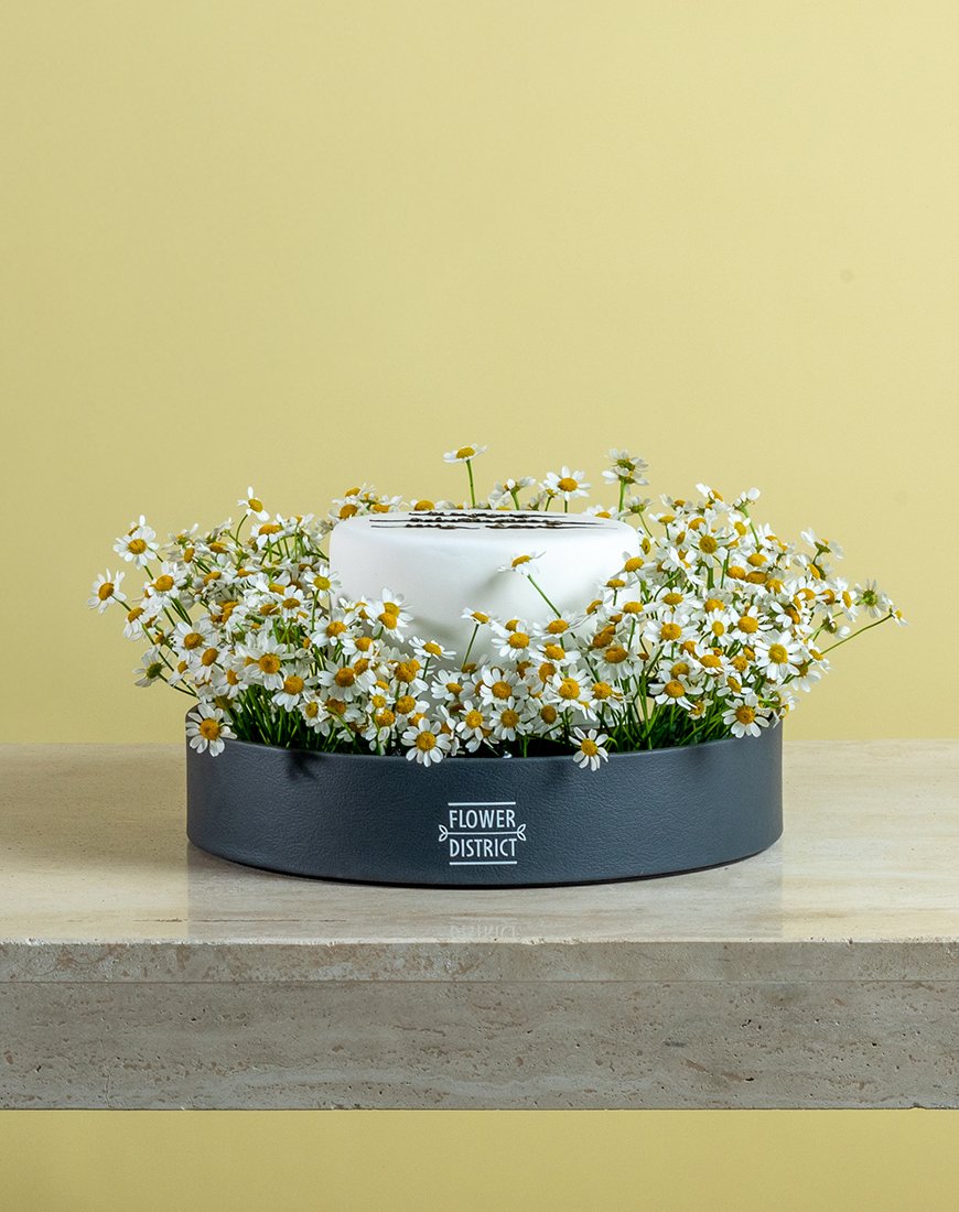 Picture of Daisy Delight Round Cake Box