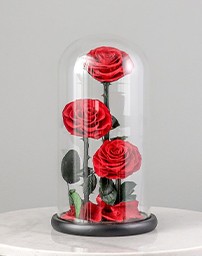 Picture for category Forever Roses