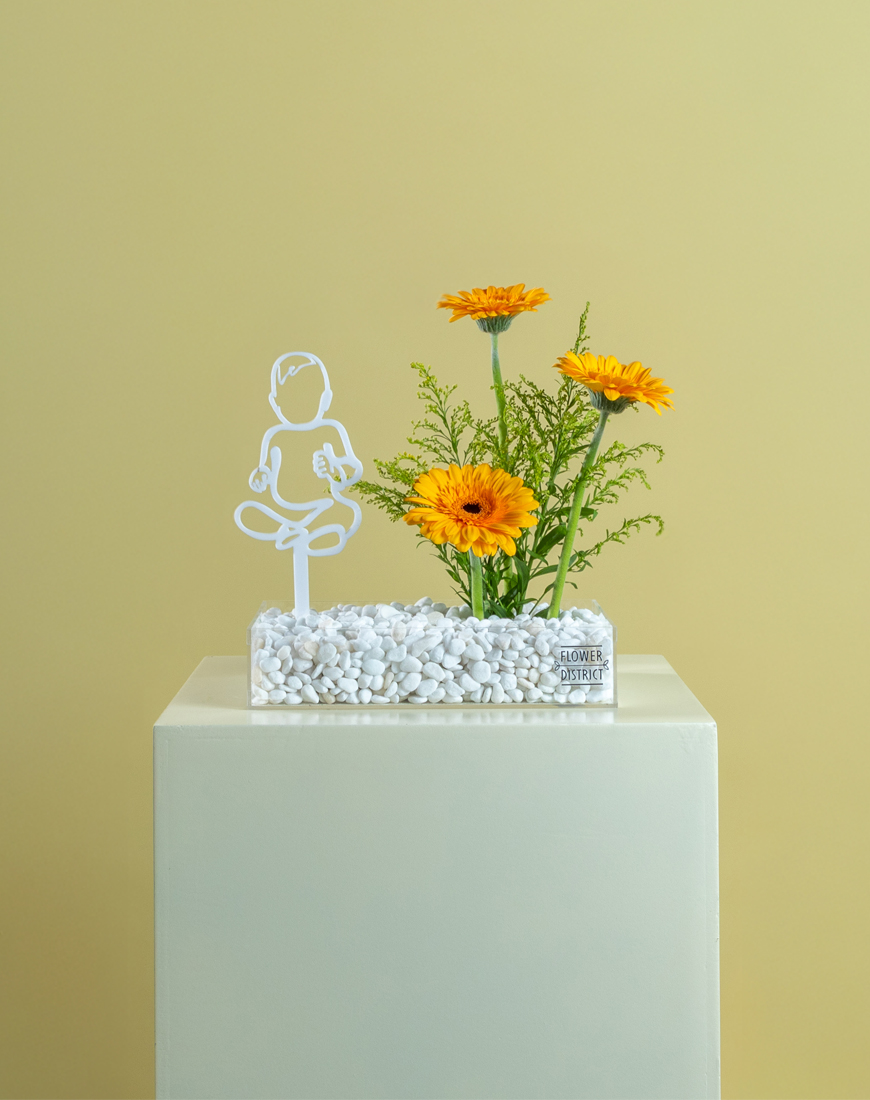 Picture of Gerbera Glow Baby Bloom Box