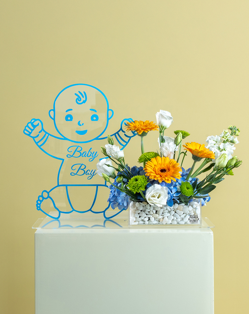 Picture of Blue Hydrangea & Gerbera Baby Boy Tray with Vector