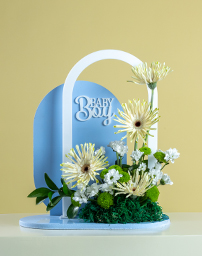 Picture for category New Born