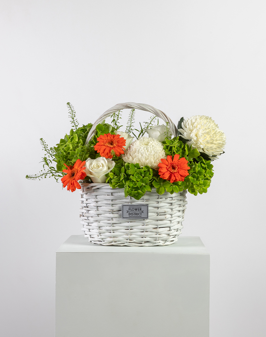 Picture of Green Hydrangea & Gerbera Basket