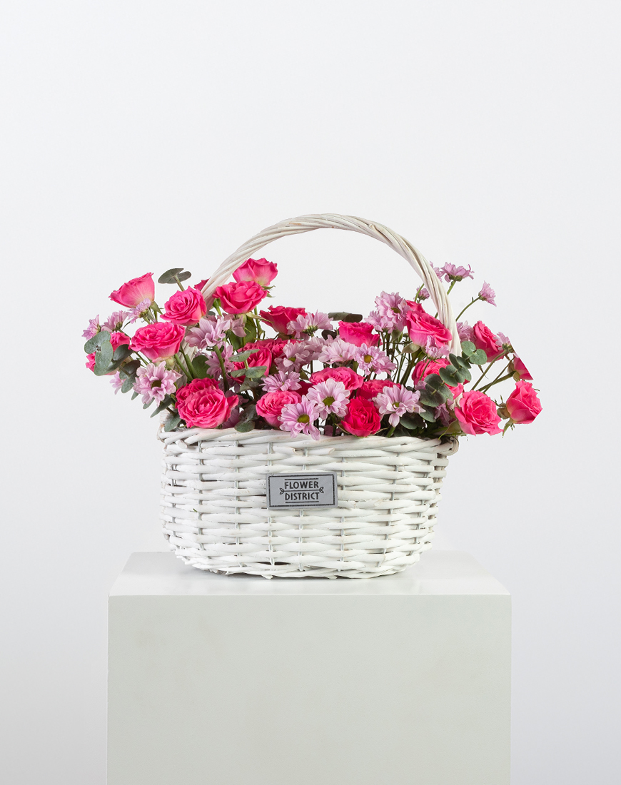 Picture of Pink Radiance Chrysanthemum Basket