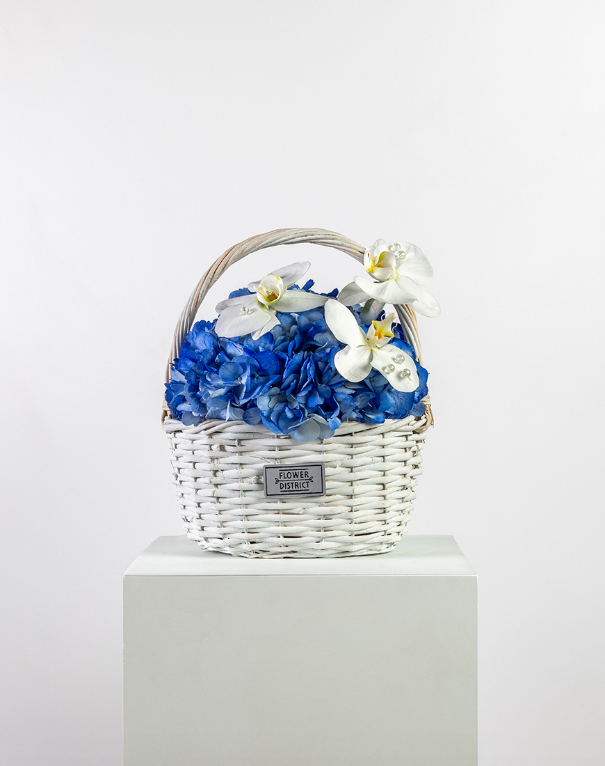 Picture of Blue Hydrangea & Orchid Elegance Basket