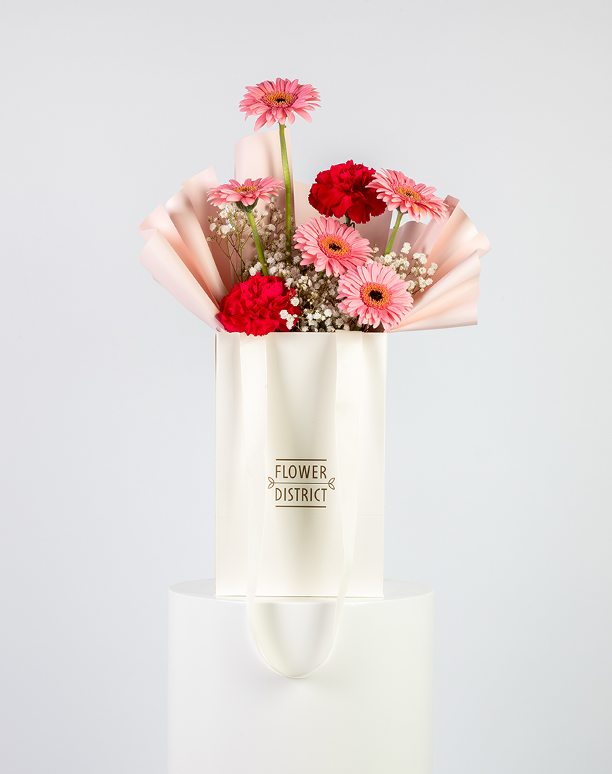 Picture of Pink Gerbera & Carnation Small Bag Arrangement