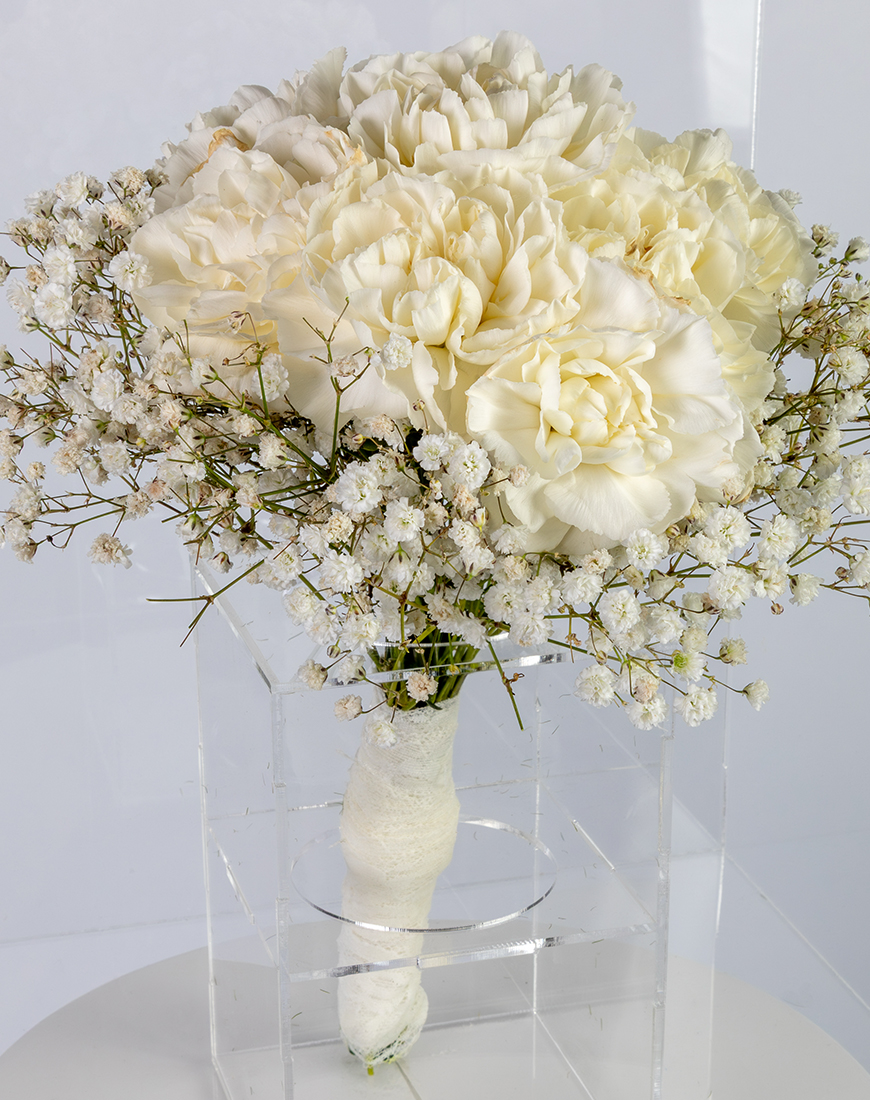 Picture of White Carnation & Gypsophila Bridal Bouquet