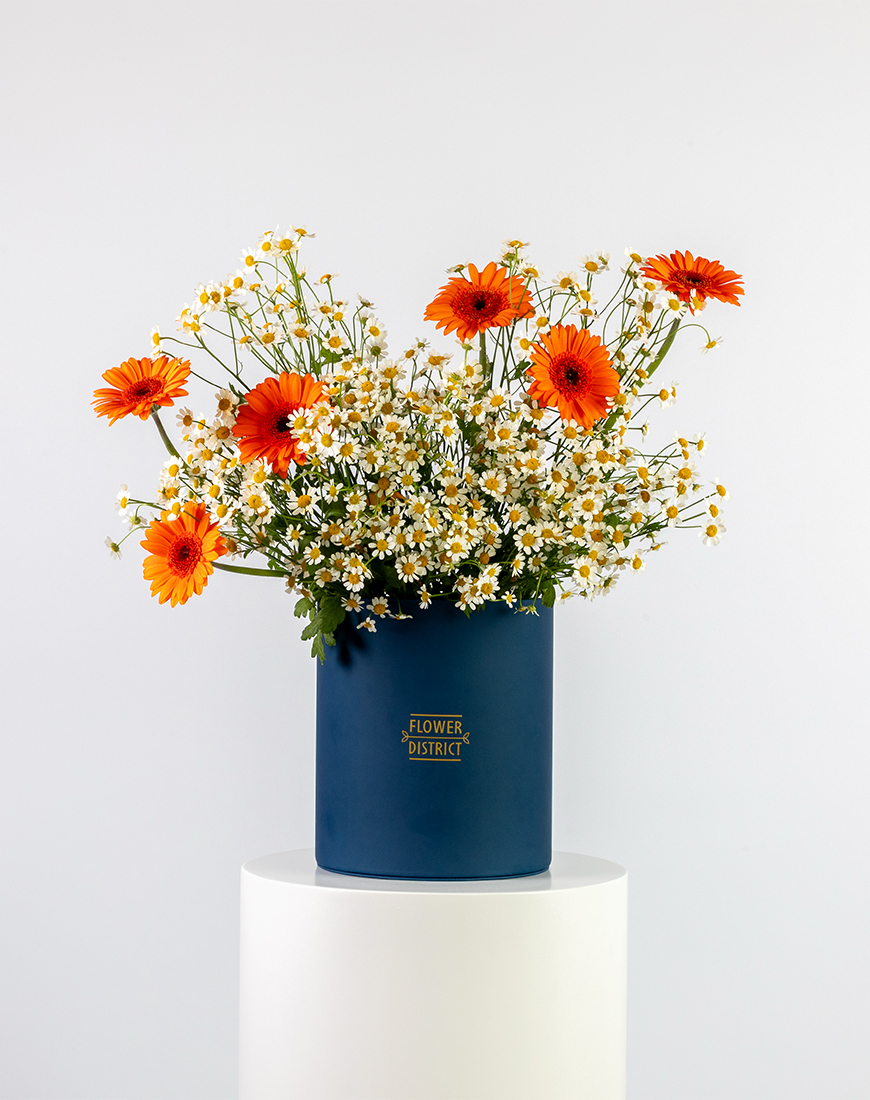 Picture of Gerbera Sunshine Medium Flower Box