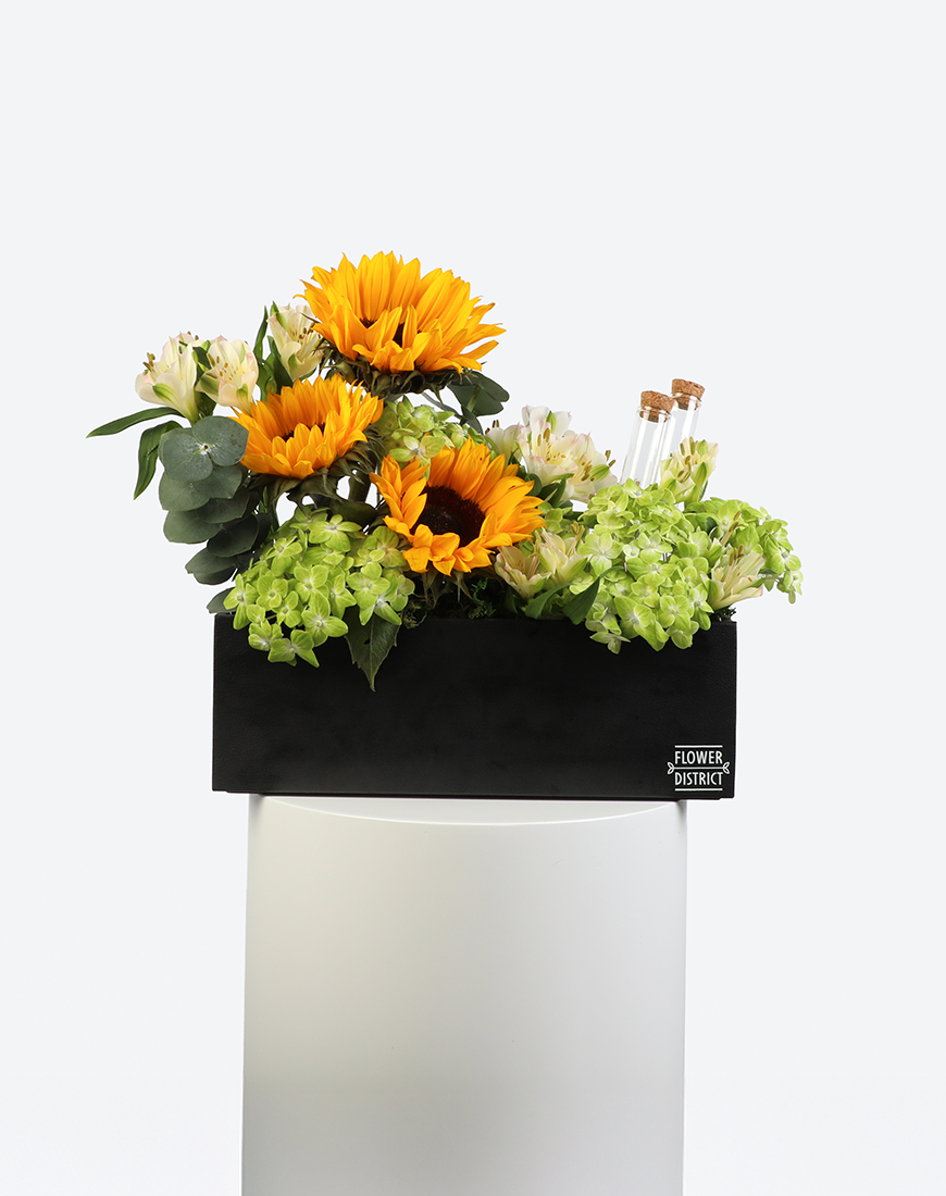 Picture of Golden Radiance Leather Tray With Money Tube