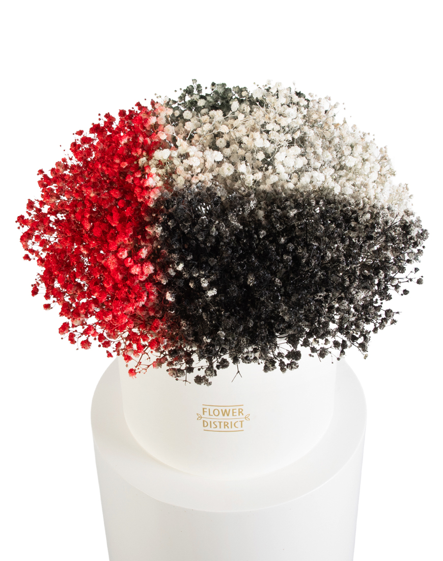 Picture of Gypsophila Cloud National Day Special Cylinder Box