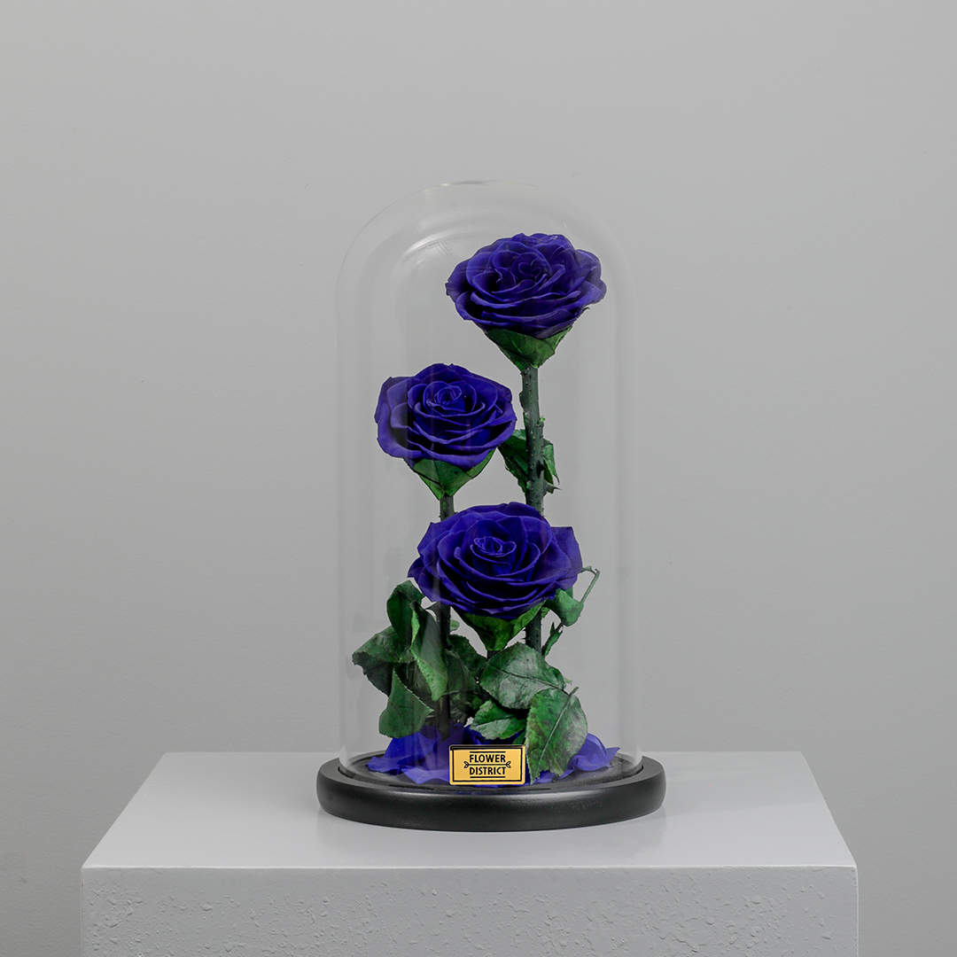Picture of Royal Blue Twin Preserved Rose Dome Big