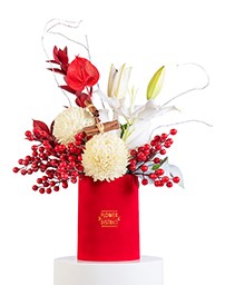 Picture for category Christmas