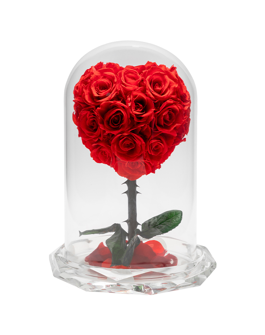 Picture of Eternal Red Dome Valentine Special Preserved Flower Arrangement