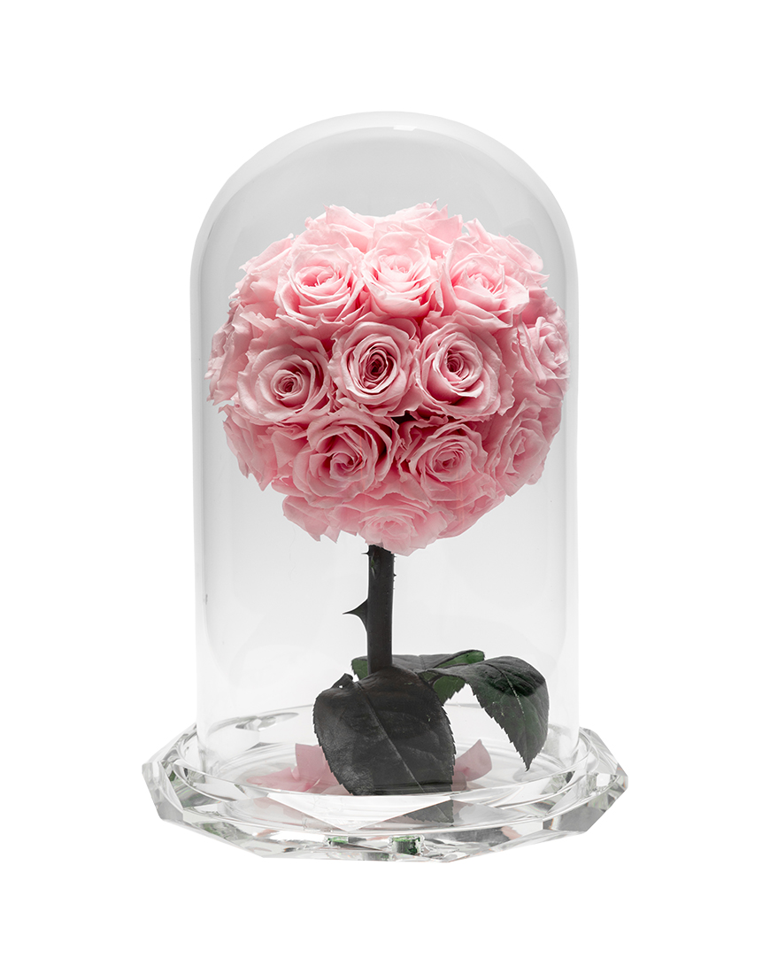 Picture of Blush Heart Dome Valentine Special Preserved Flower Arrangement