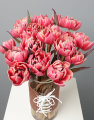 Tulip Red Vase