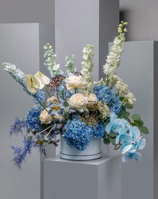 Delphinium Blue In Round Box