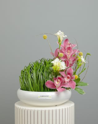 Cymbidium Round Vase