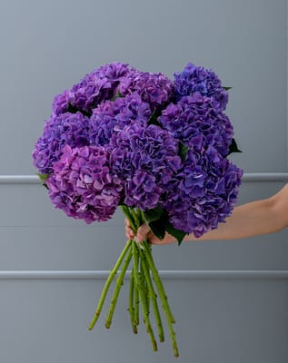 Purple Hydrangea Bouquet