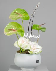 Double Amaryllis Vase