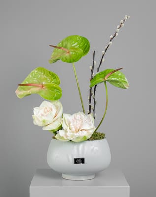 Double Amaryllis Vase