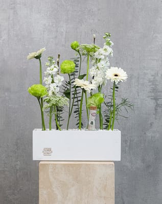 Wealth In Bloom Box