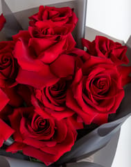 Valentines Day - Velvet Roses